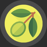 Oliviers lieu Provençal mariage nature champêtre bohème chic